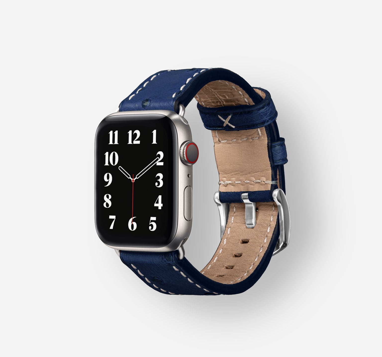 Ostrich-Blue-Titanium-Silcve