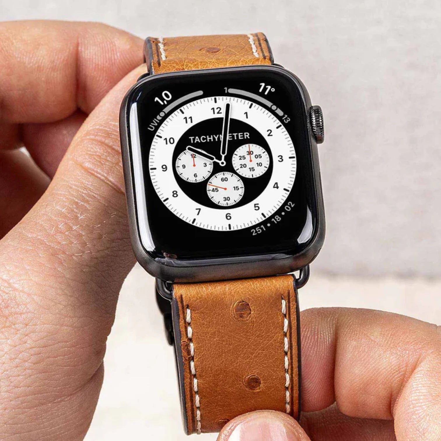 Braun / 42mm / Silber Poliert