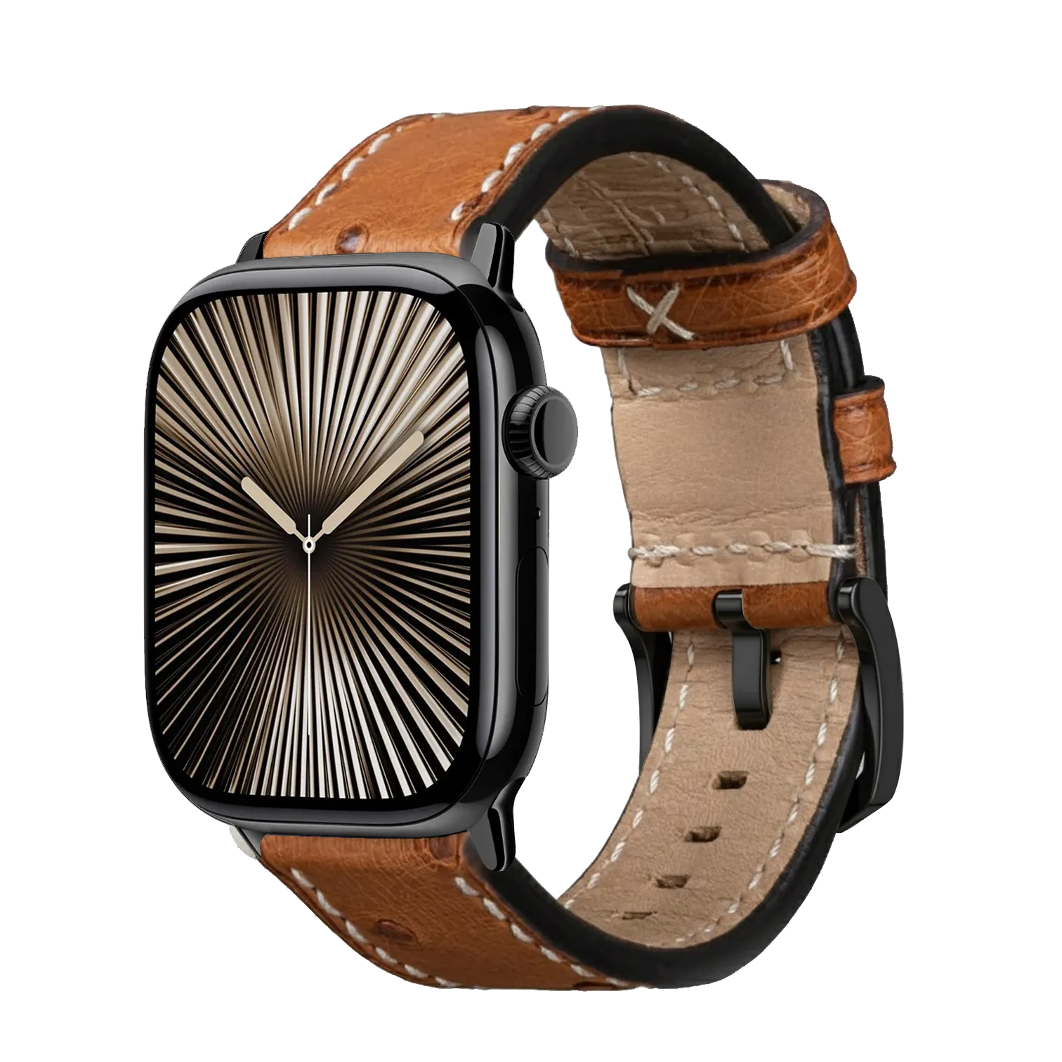 Braun / 42mm / Schwarz Poliert