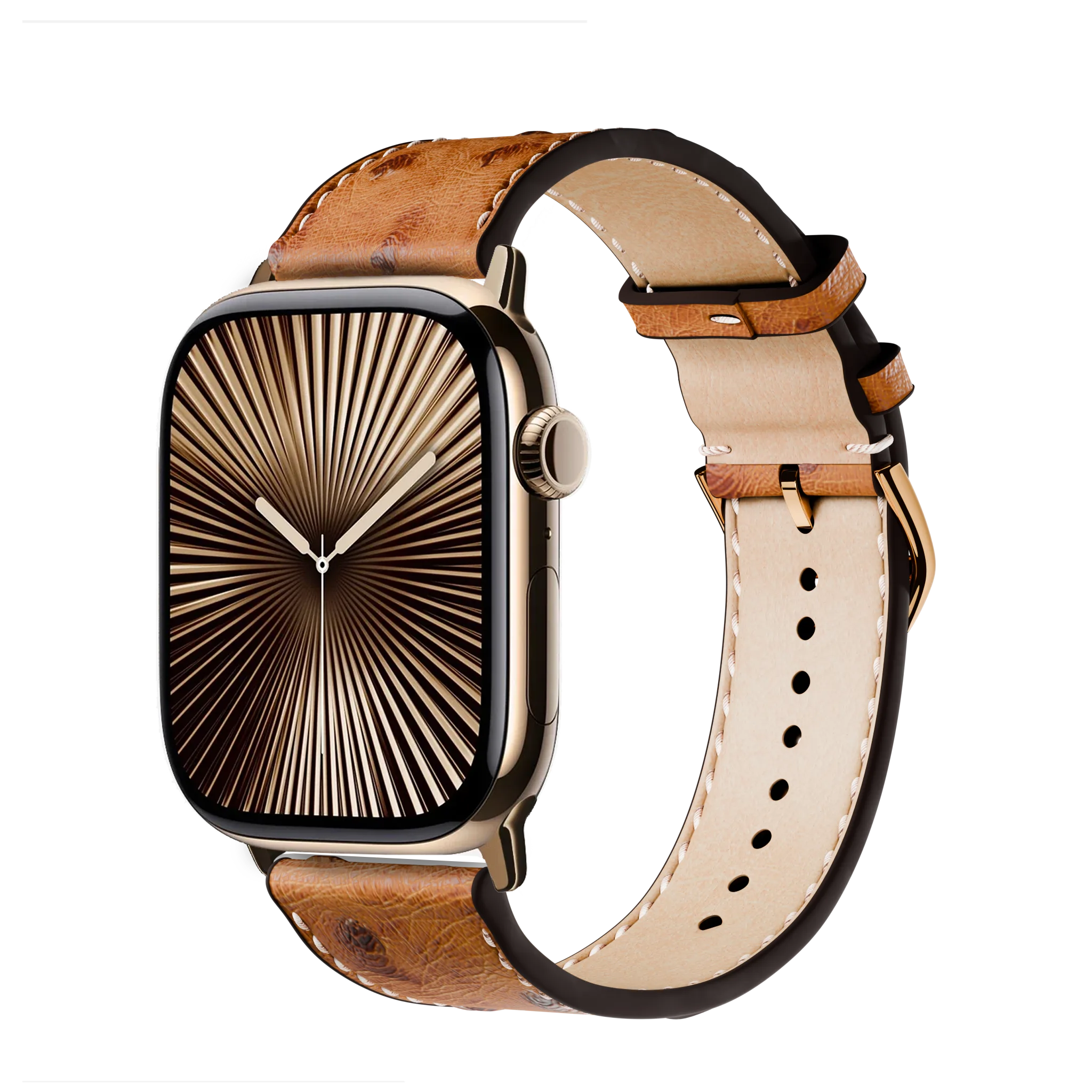 Braun / 46mm / Titan Gold