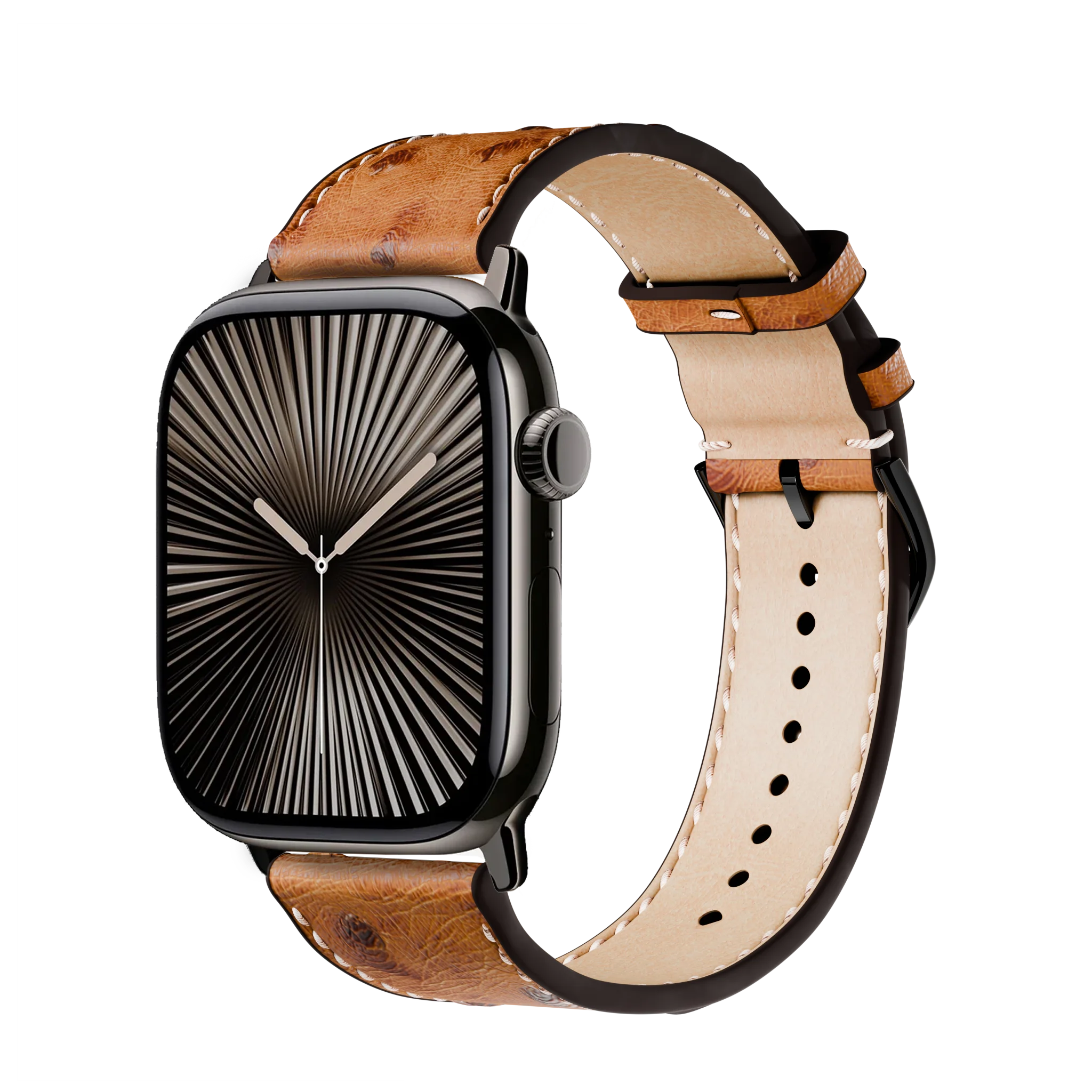 Braun / 46mm / Titan Schiefer