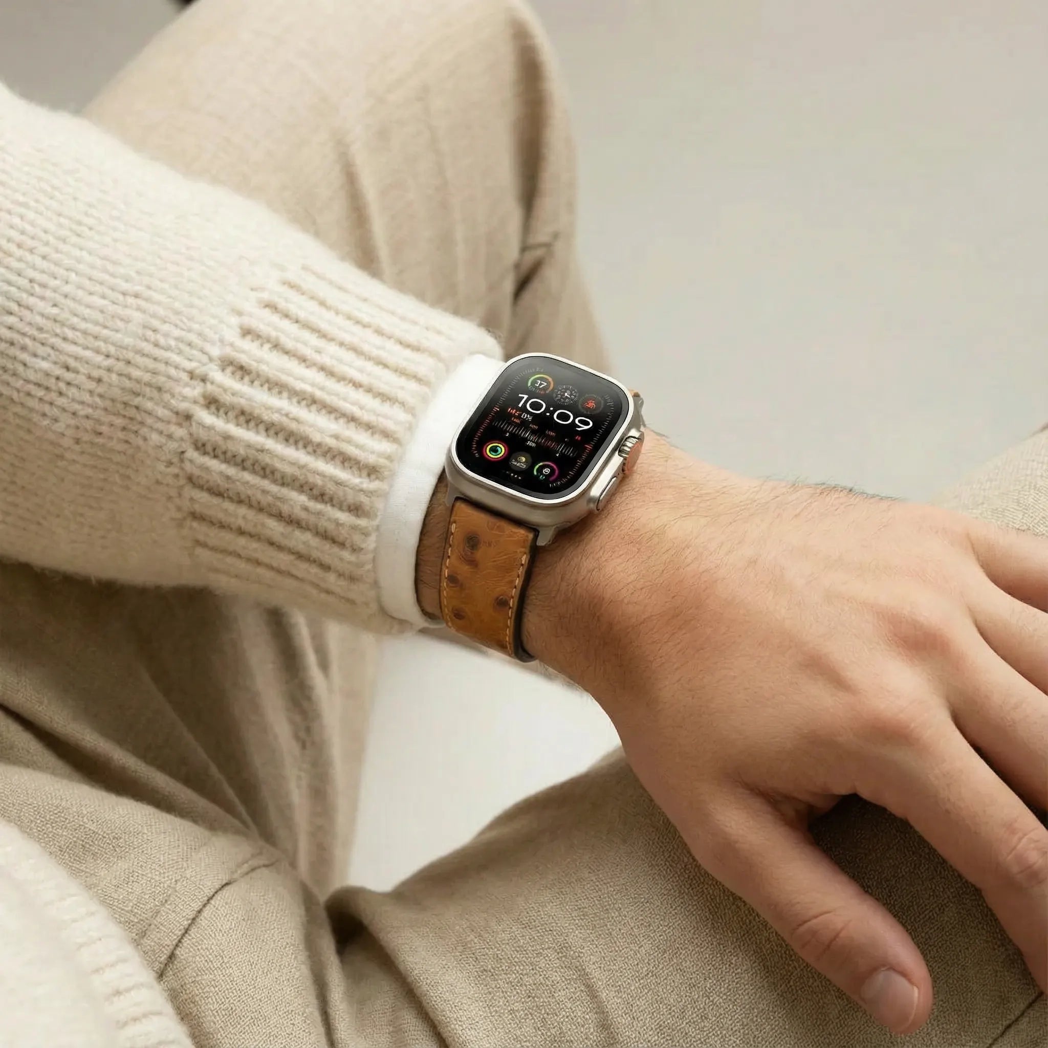 Braun / 46mm / Titan Natur