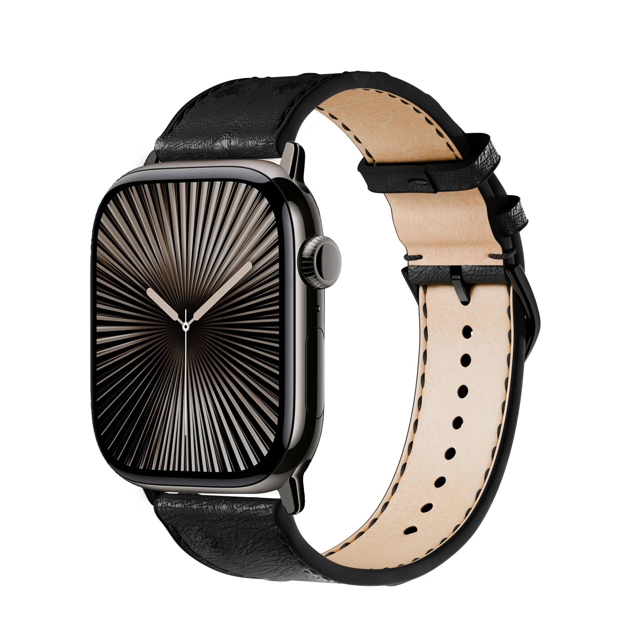 Schwarz / 46mm / Titan Schiefer