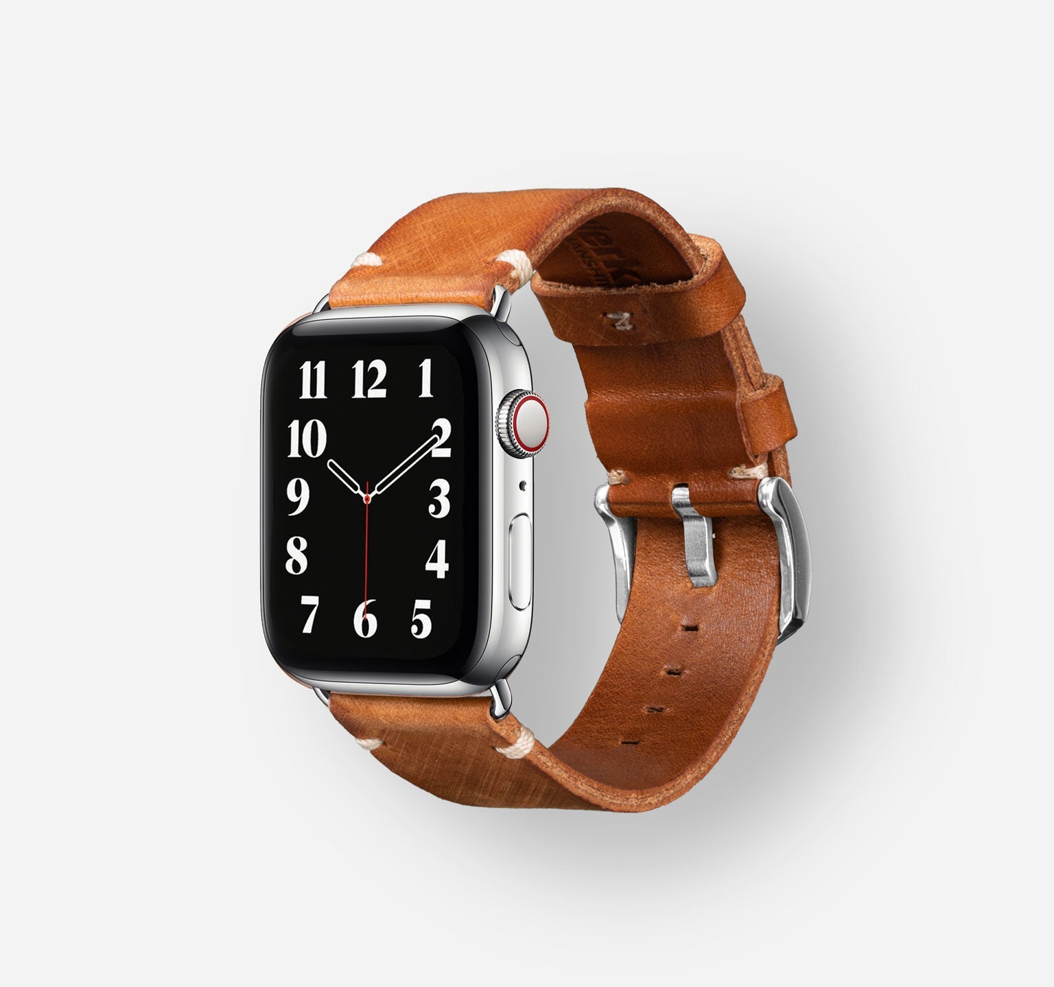BandWerk Zurich Tegu Apple Watch Band